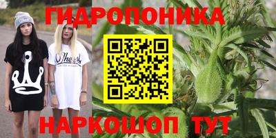 гидра Рязань