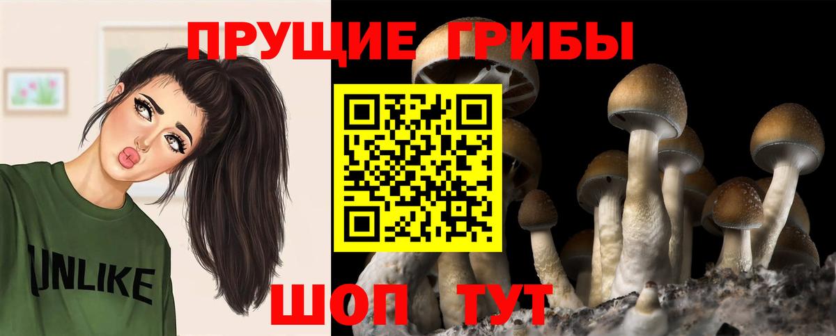Менделеевск  Псилоцибиновые грибы ЛСД  Вход с VPN 